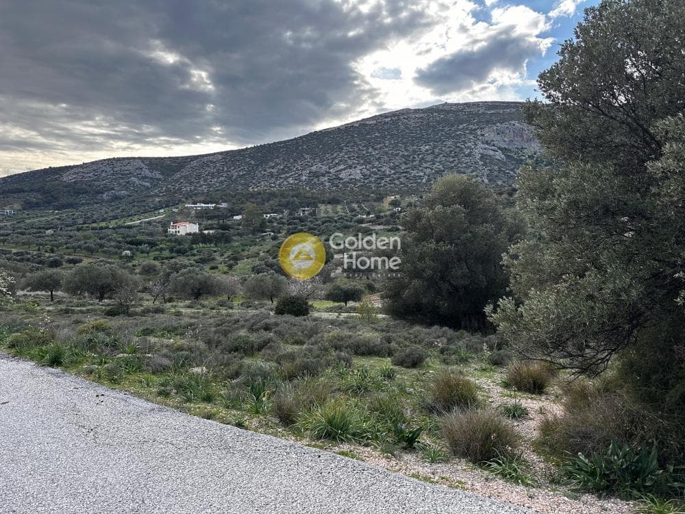 Αγροτεμάχιο στην Διόνυσος, Κερατέα — Φωτογραφία 6 από 6