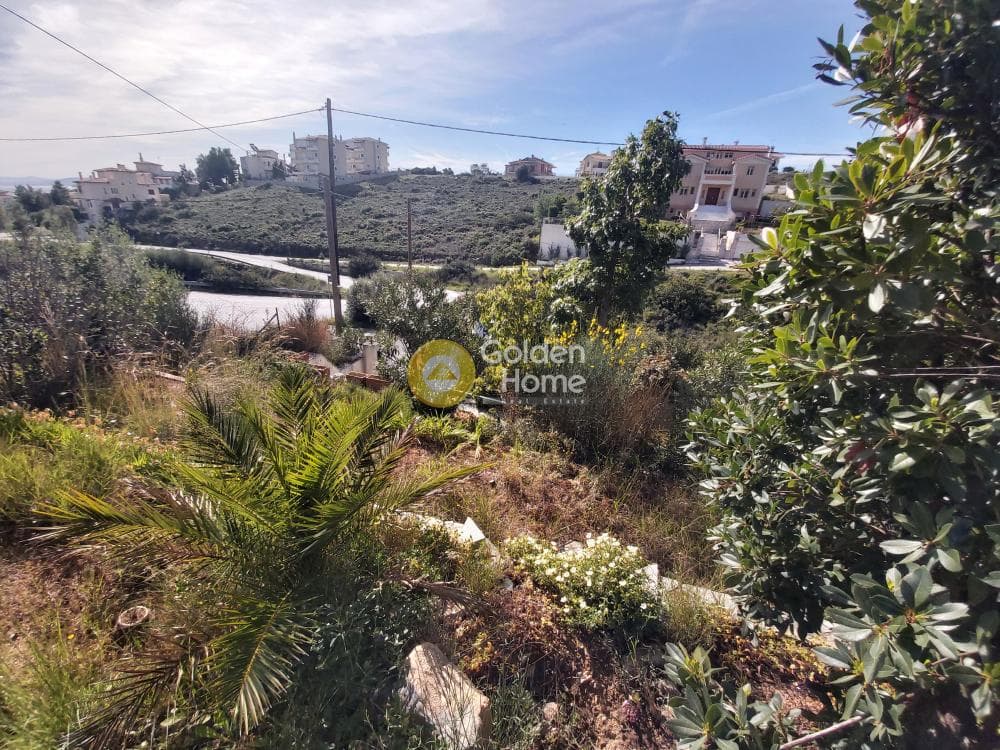 House in Neos Voutzas, Rafina — Photo 24 of 28