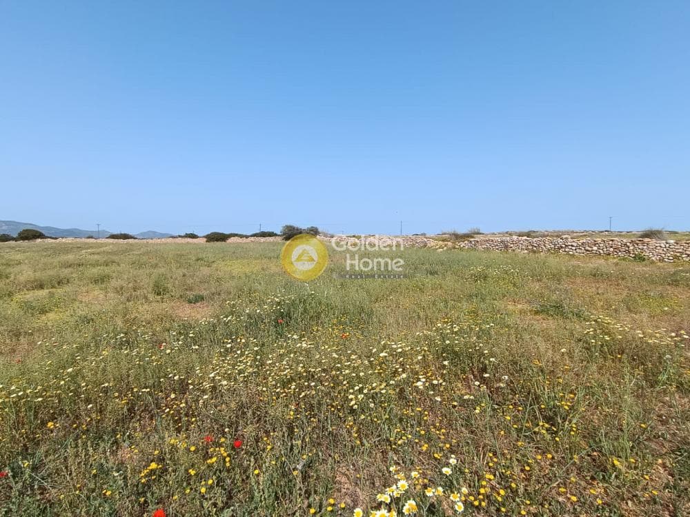 Αγροτεμάχιο στην Καμάρι, Πάρος — Φωτογραφία 1 από 3