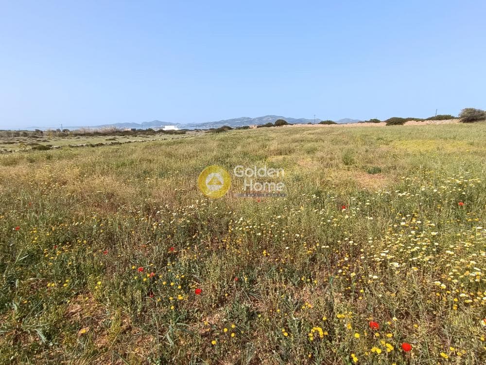 Αγροτεμάχιο στην Καμάρι, Πάρος — Φωτογραφία 3 από 3