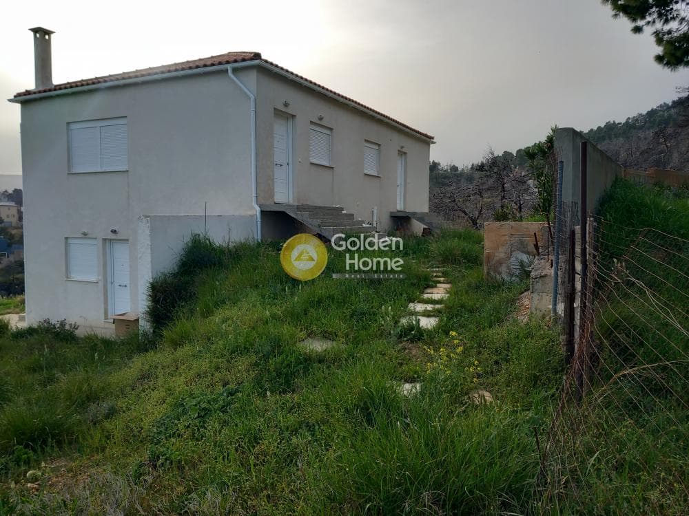 Μονοκατοικία στην Αγία Τριάδα, Αφίδνες — Φωτογραφία 25 από 44