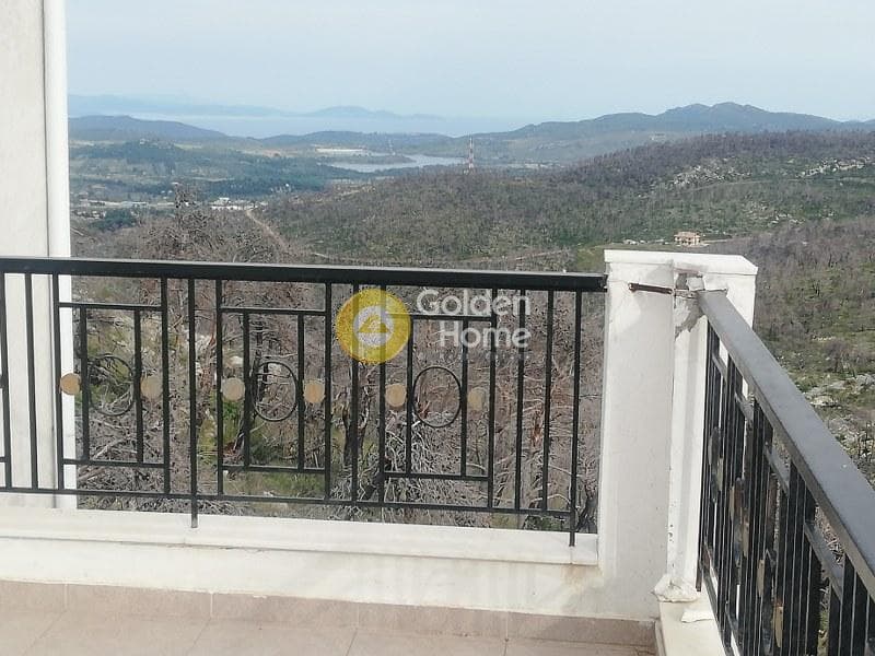 Μονοκατοικία στην Αγία Τριάδα, Αφίδνες — Φωτογραφία 22 από 44