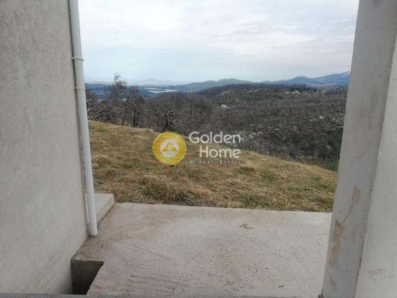 Μονοκατοικία στην Αγία Τριάδα, Αφίδνες — Φωτογραφία 28 από 44