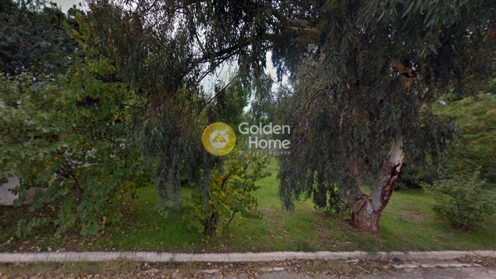 Οικόπεδο στην Ντράφι, Πικέρμι