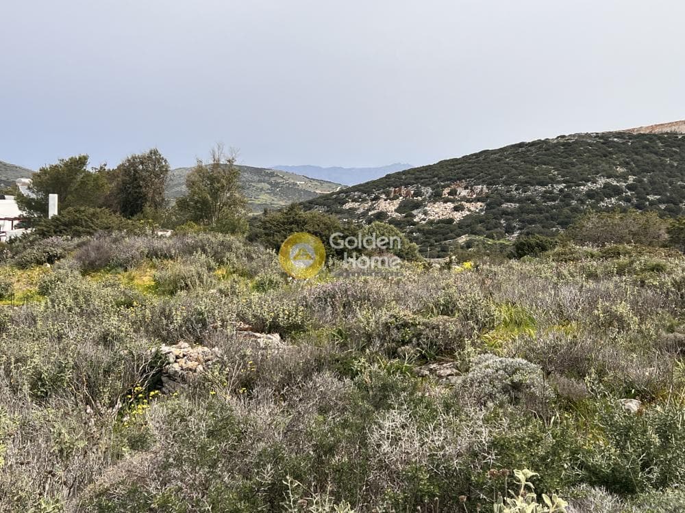 Parcel in Marathi, Paros — Photo 8 of 8