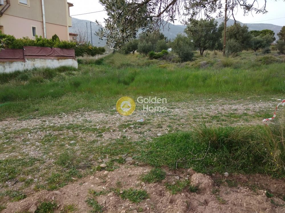 Οικόπεδο στην Μεγάλα Σχοινία Α, Αχαρνές — Φωτογραφία 6 από 6