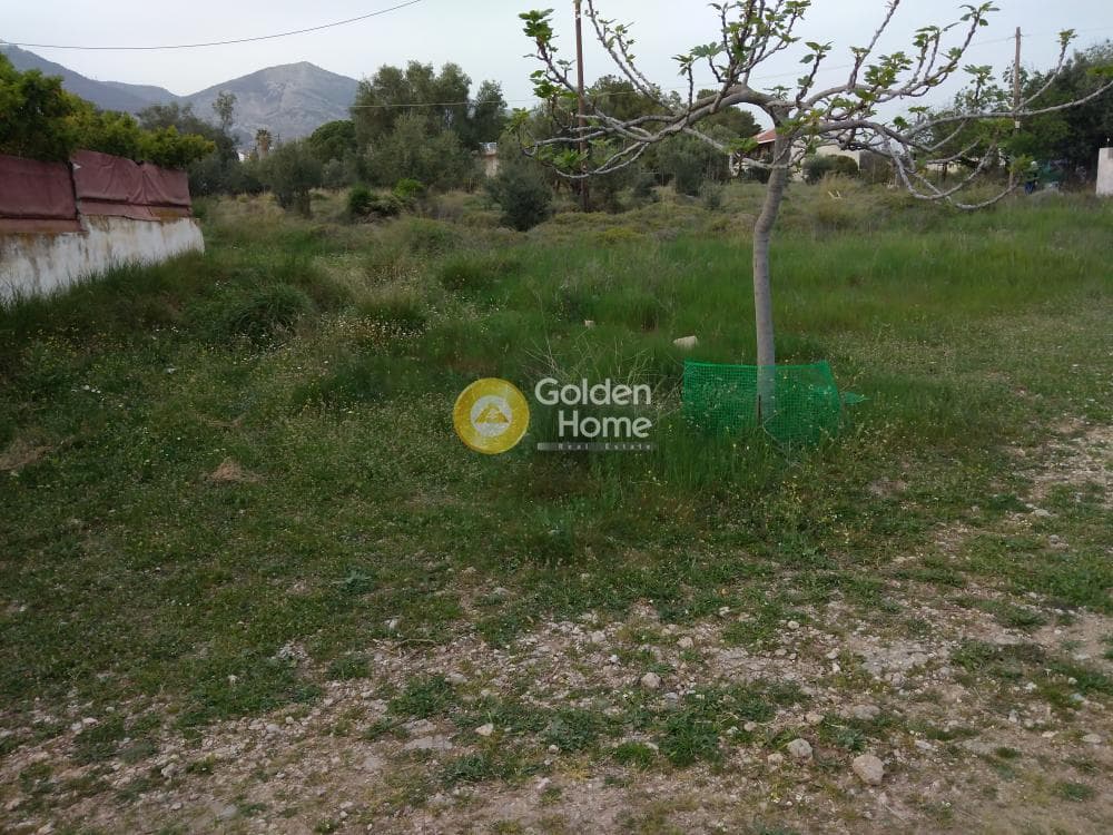 Οικόπεδο στην Μεγάλα Σχοινία Α, Αχαρνές — Φωτογραφία 2 από 6