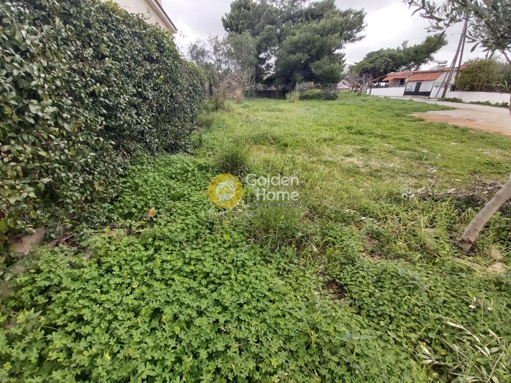 Building Plot in Neapoli, Spata — Photo 3 of 5