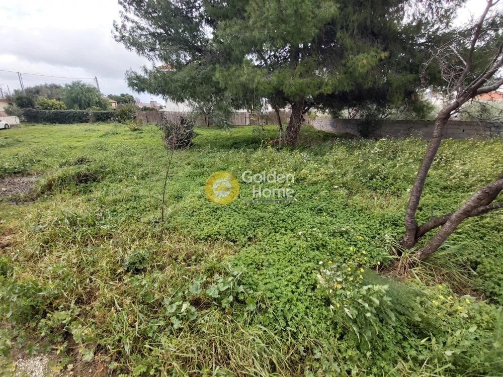 Building Plot in Neapoli, Spata — Photo 5 of 5