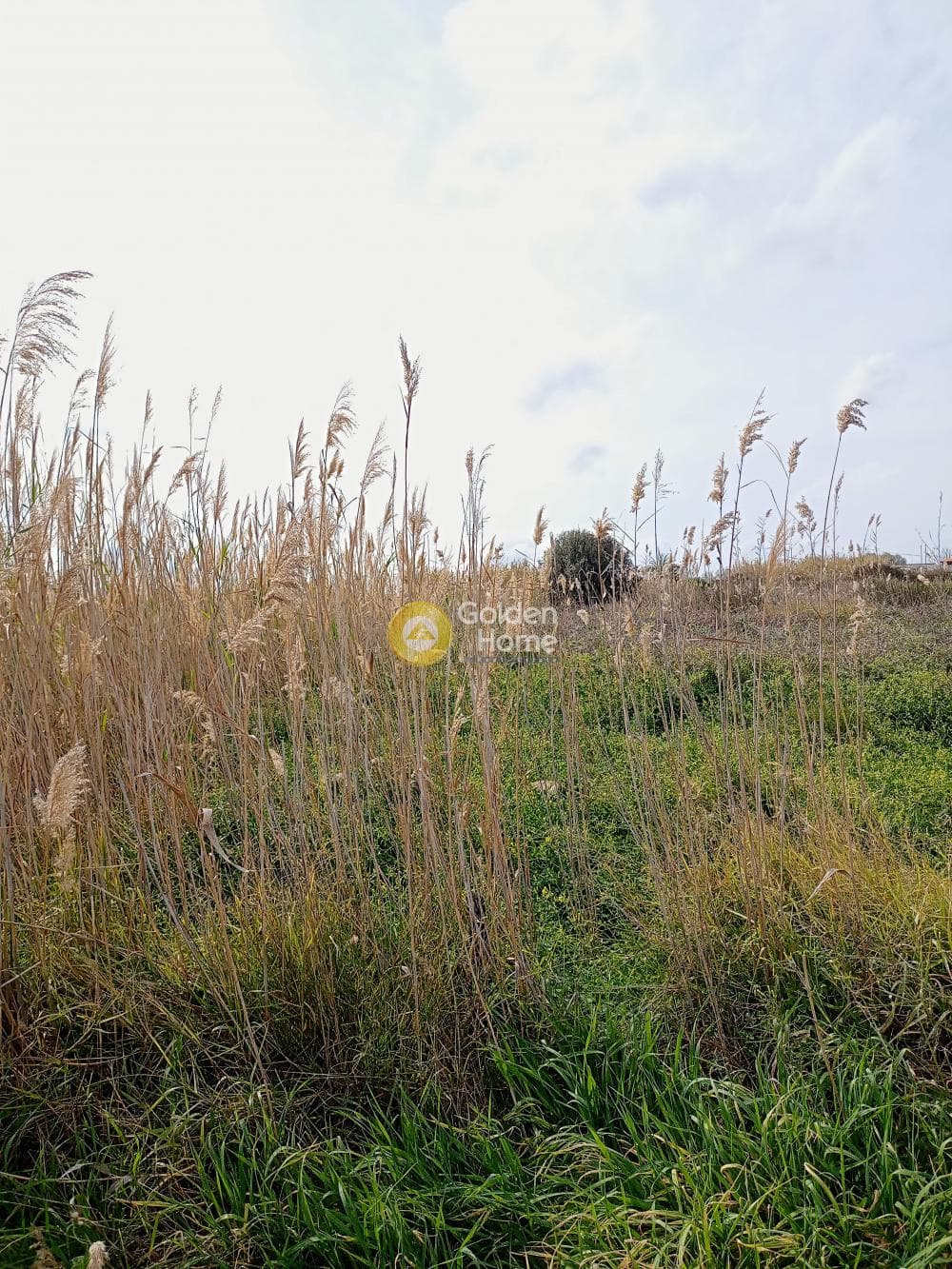 Building Plot in Kamilari, Timpaki — Photo 3 of 3