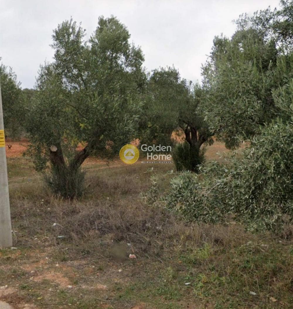 Αγροτεμάχιο στην Αγία Μαρίνα, Παιανία — Φωτογραφία 1 από 3