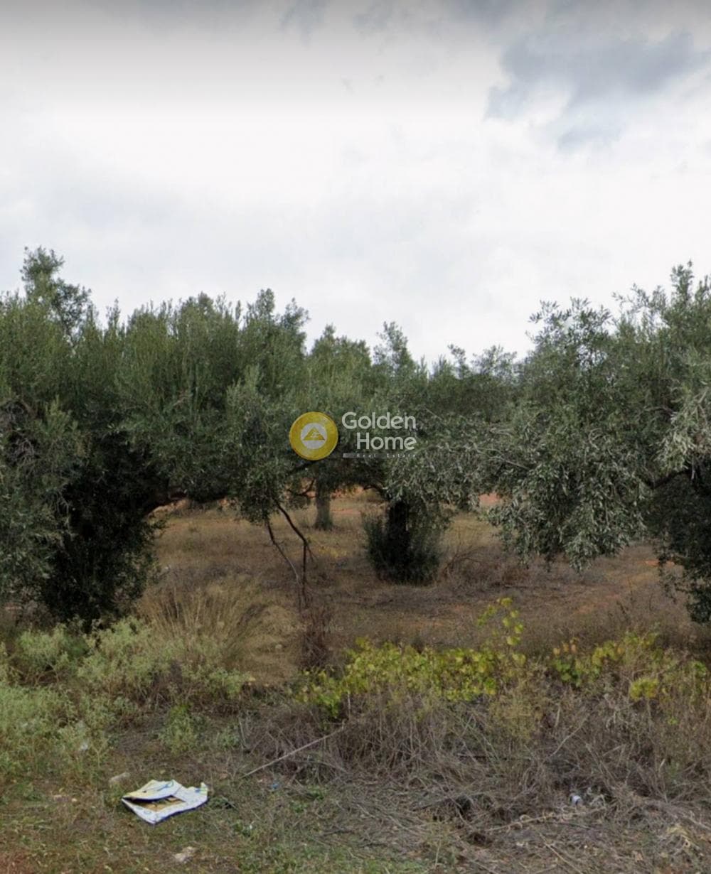 Αγροτεμάχιο στην Αγία Μαρίνα, Παιανία — Φωτογραφία 2 από 3