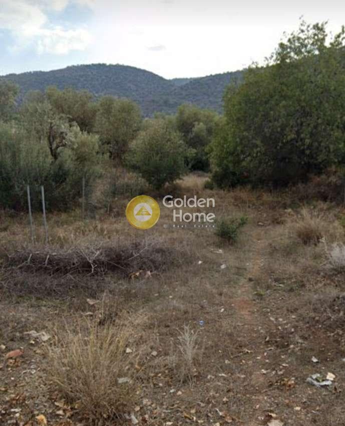 Building Plot in Megalo Ntoroto, Salamina
