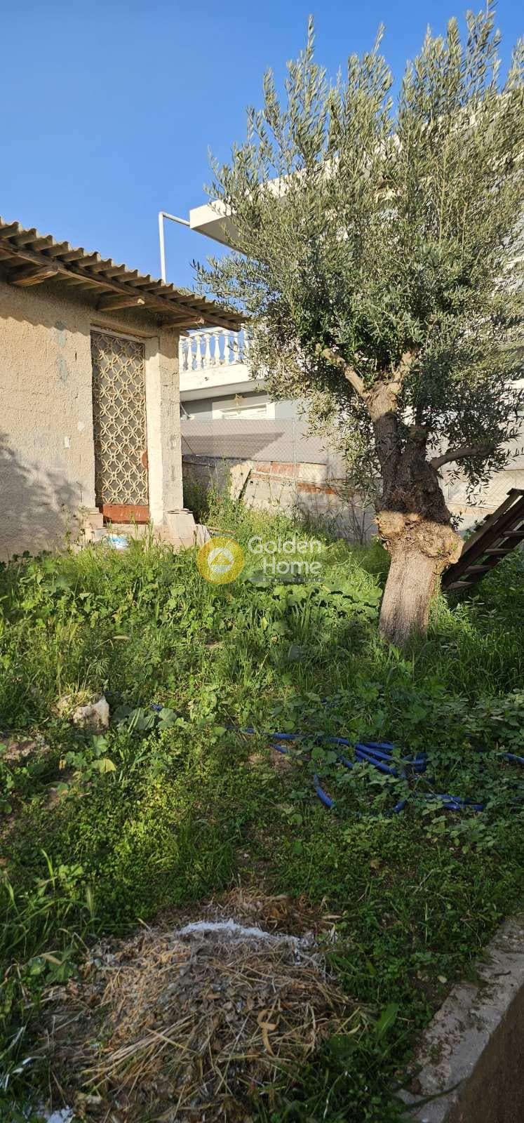 Μονοκατοικία στην Λαμπρικά, Κορωπί — Φωτογραφία 24 από 27