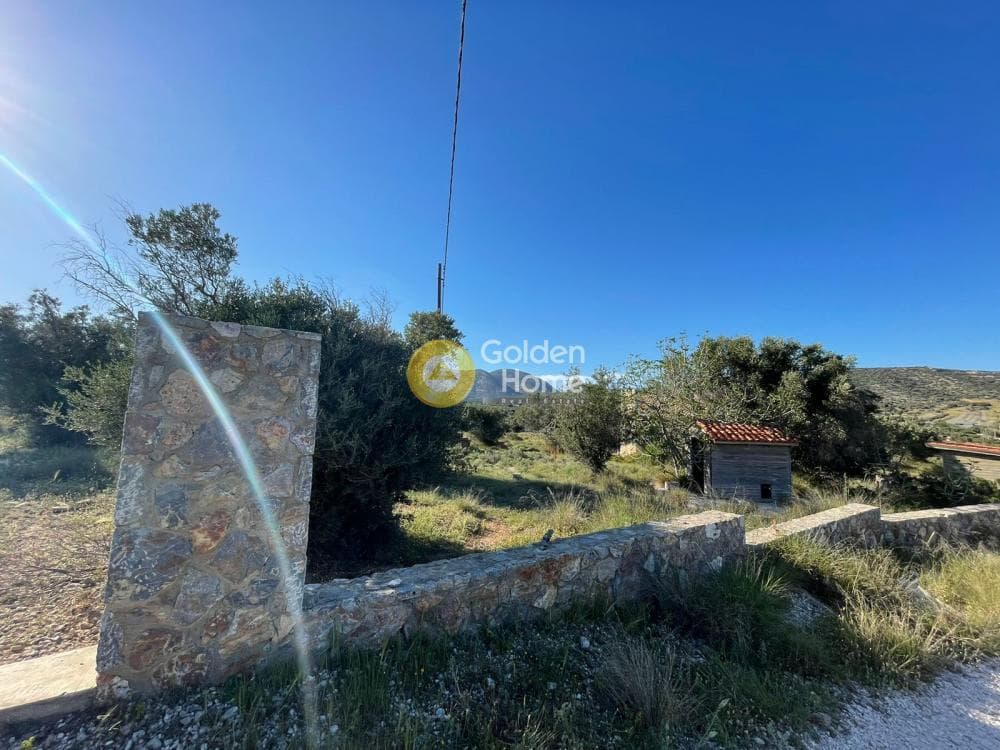 Αγροτεμάχιο στην Λαμπρικά, Κορωπί — Φωτογραφία 3 από 6