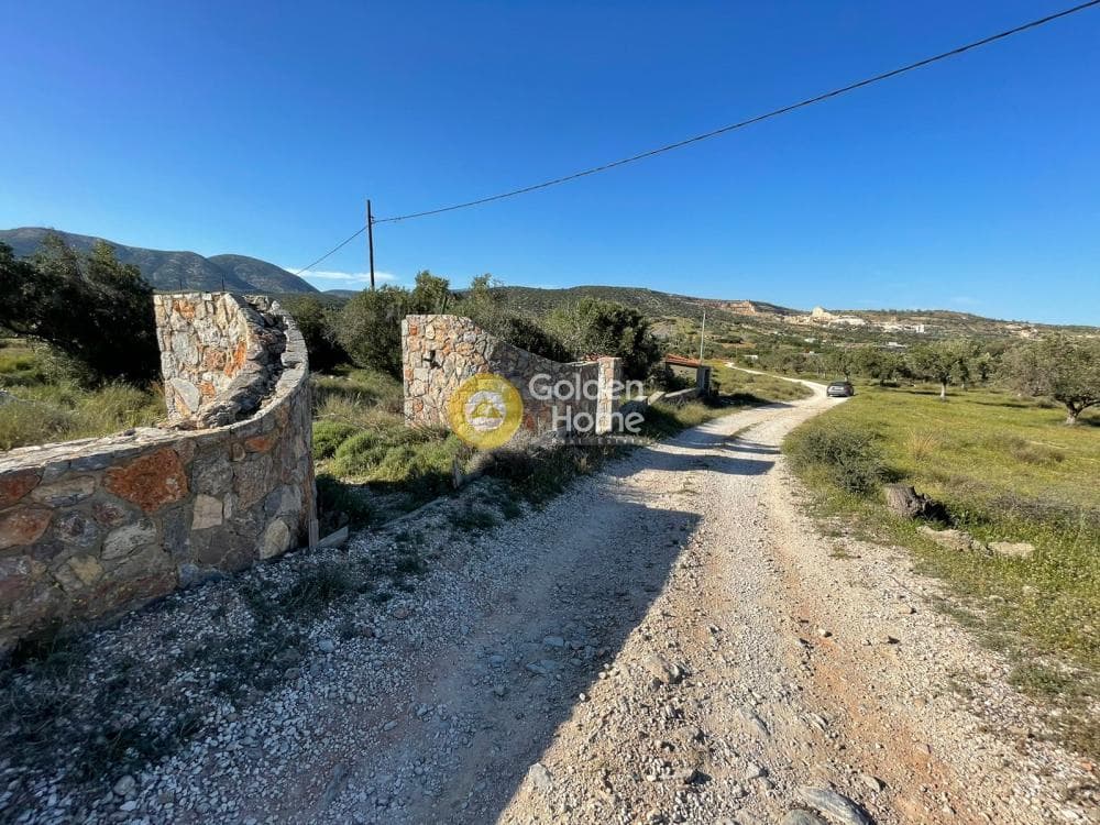 Αγροτεμάχιο στην Λαμπρικά, Κορωπί — Φωτογραφία 1 από 6