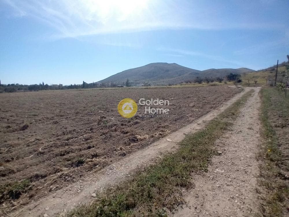 Building Plot in Ari, Anavissos — Photo 7 of 27