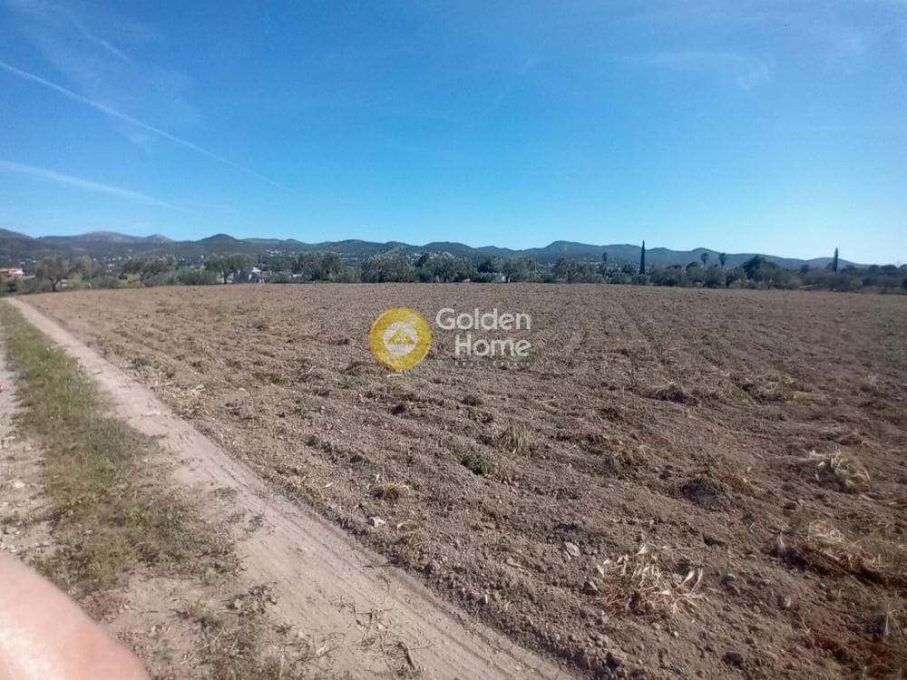 Building Plot in Ari, Anavissos — Photo 8 of 27