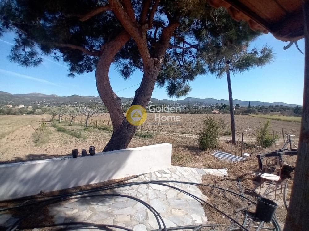 Building Plot in Ari, Anavissos — Photo 10 of 27