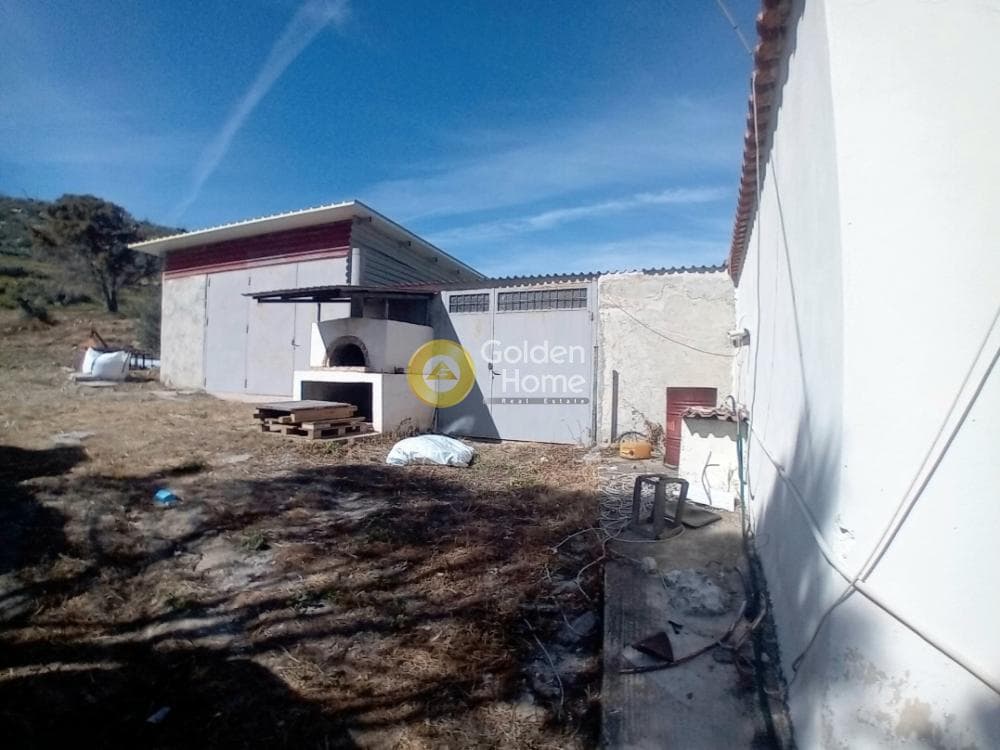 Building Plot in Ari, Anavissos — Photo 16 of 27