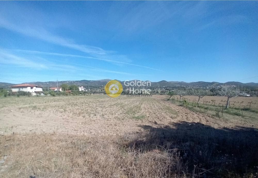 Building Plot in Ari, Anavissos — Photo 9 of 27