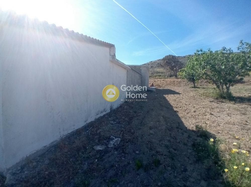 Building Plot in Ari, Anavissos — Photo 17 of 27