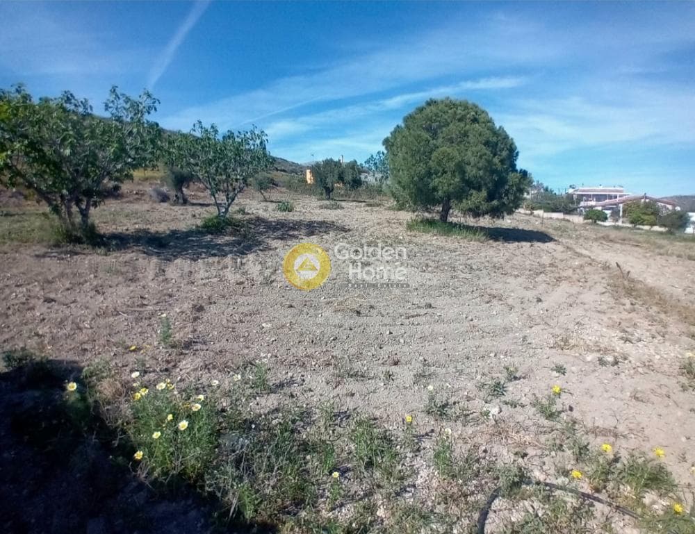Building Plot in Ari, Anavissos — Photo 21 of 27