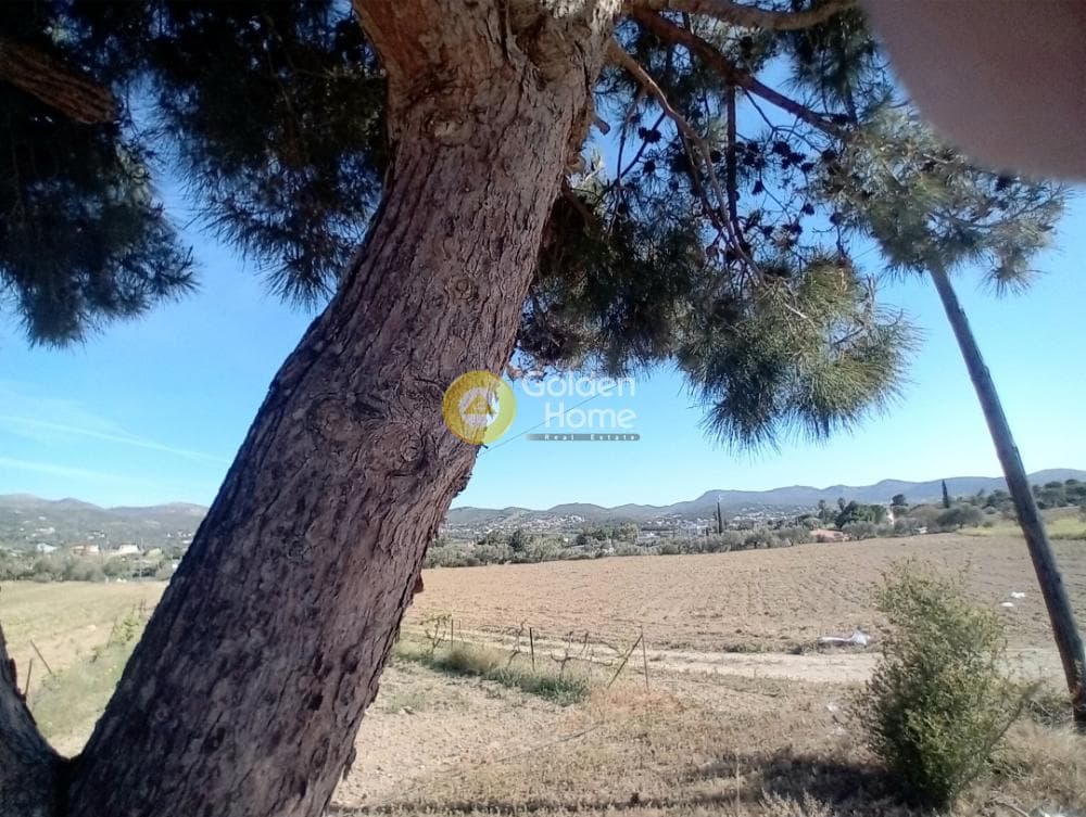 Building Plot in Ari, Anavissos — Photo 22 of 27