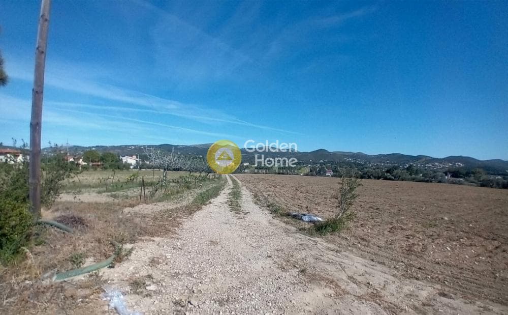 Building Plot in Ari, Anavissos — Photo 23 of 27
