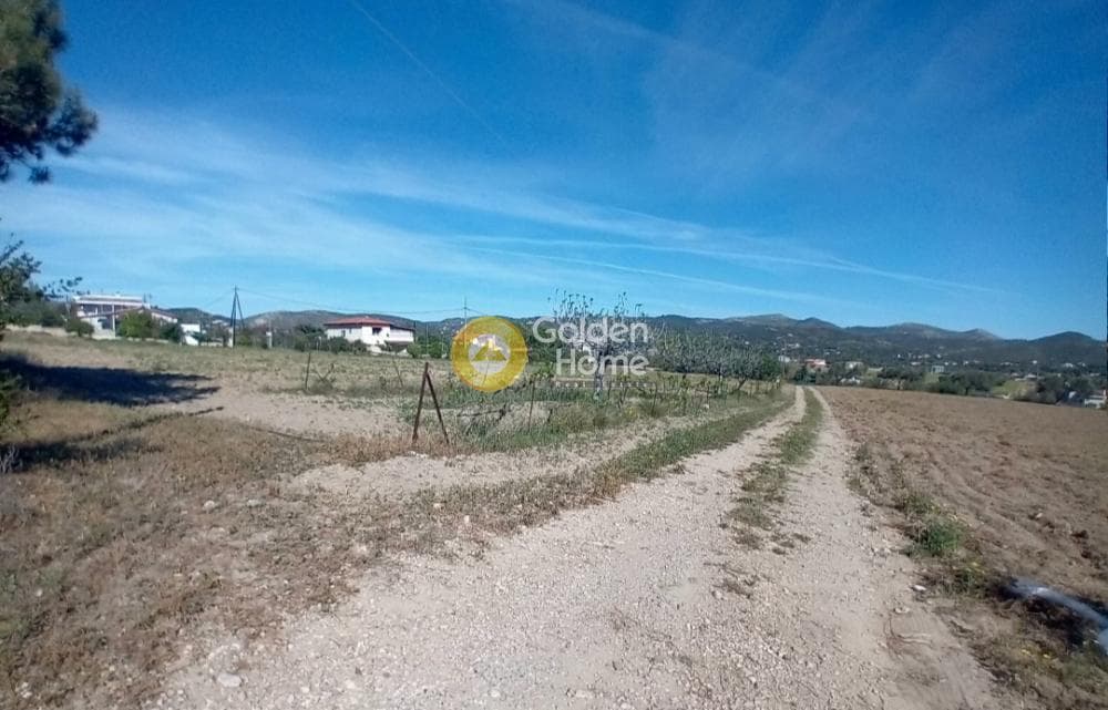 Building Plot in Ari, Anavissos — Photo 3 of 27