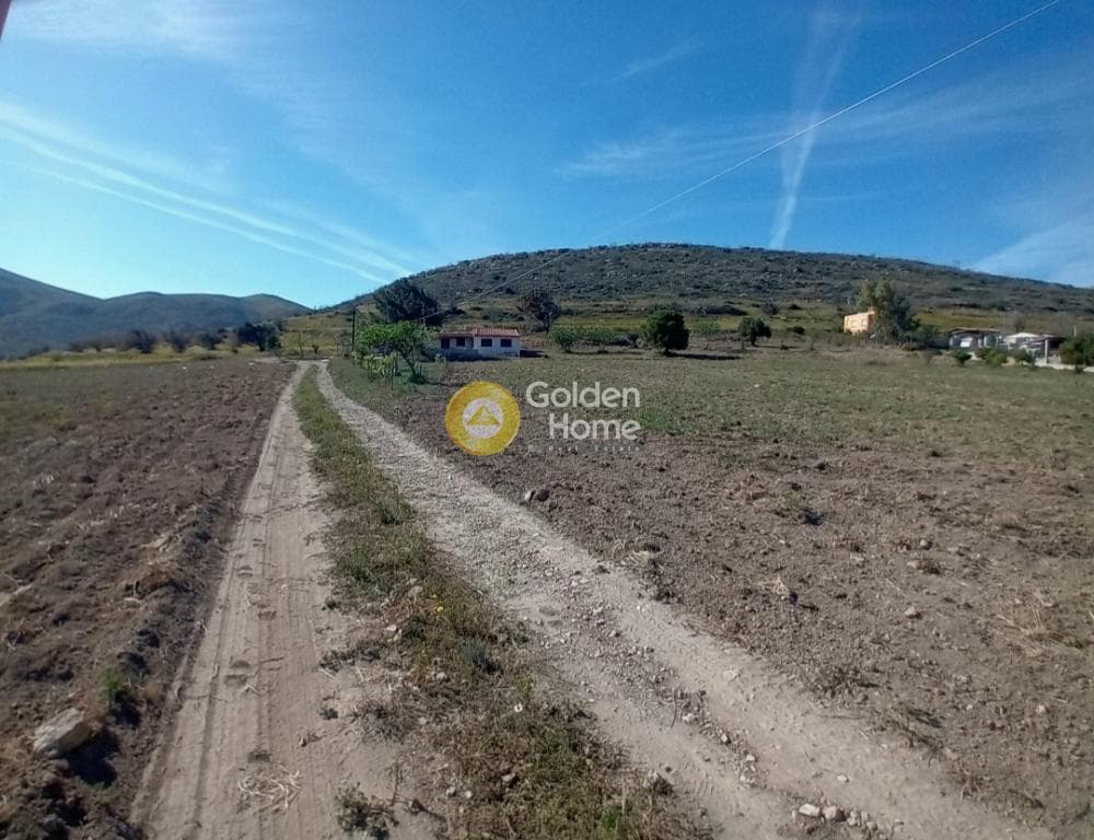 Building Plot in Ari, Anavissos — Photo 4 of 27