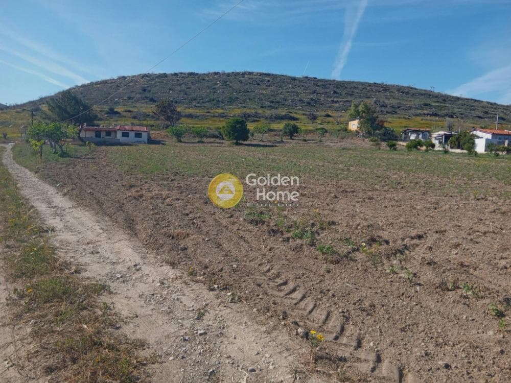 Building Plot in Ari, Anavissos — Photo 5 of 27