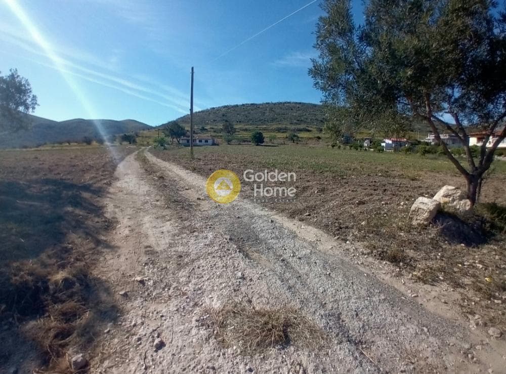 Building Plot in Ari, Anavissos — Photo 25 of 27