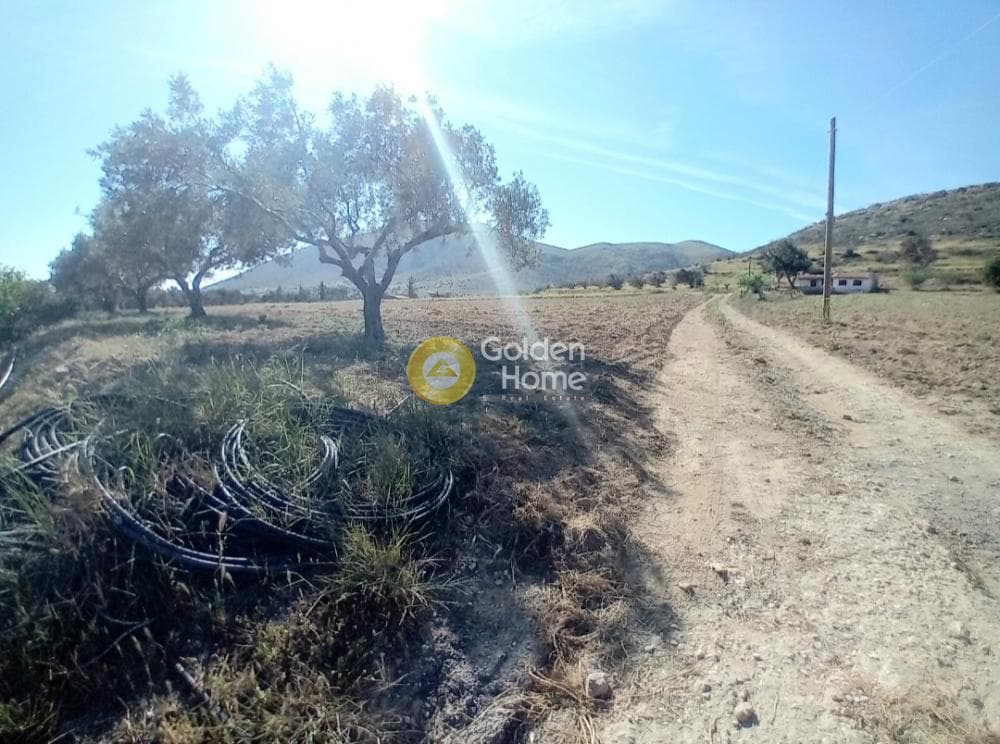 Building Plot in Ari, Anavissos — Photo 6 of 27
