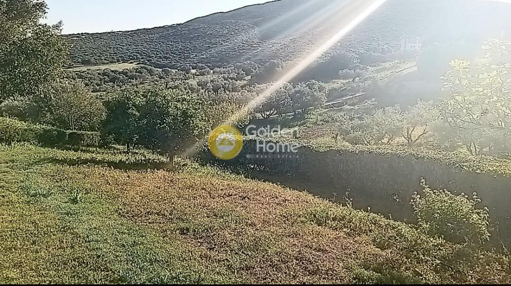 House in Kamariza, Lavrio — Photo 29 of 39