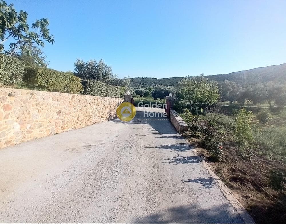 House in Kamariza, Lavrio — Photo 38 of 39