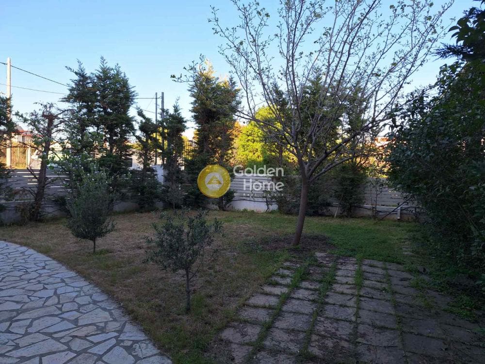 House in Megala Sxoinia A, Acharnes — Photo 12 of 15
