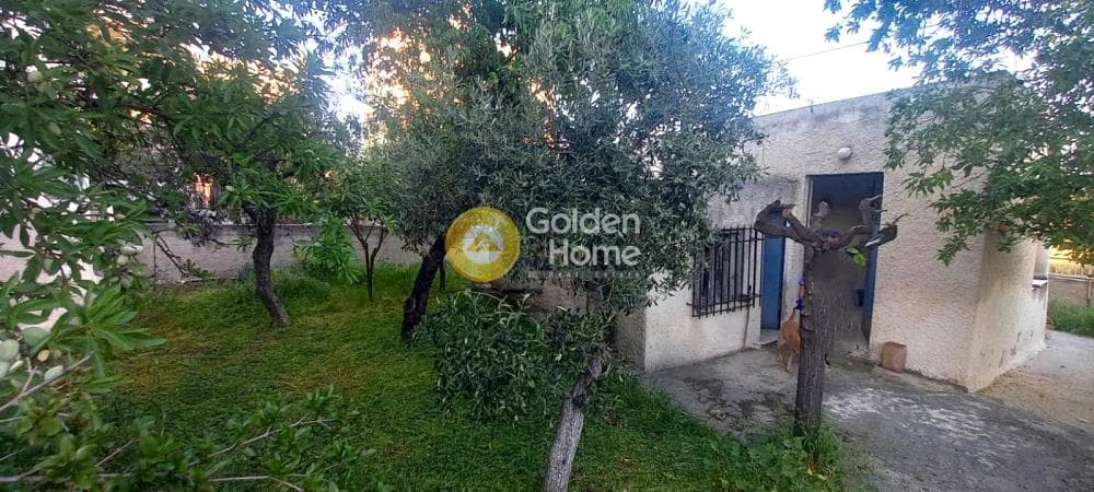 Οικόπεδο στην Ανθοκηπουροί, Καματερό — Φωτογραφία 3 από 3