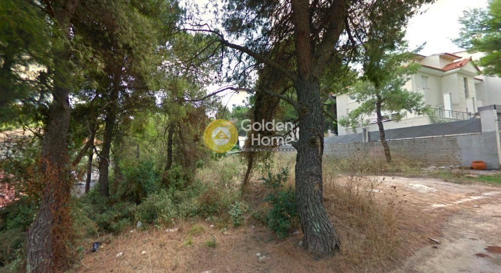 Building Plot in Rodopoli, Rodopoli