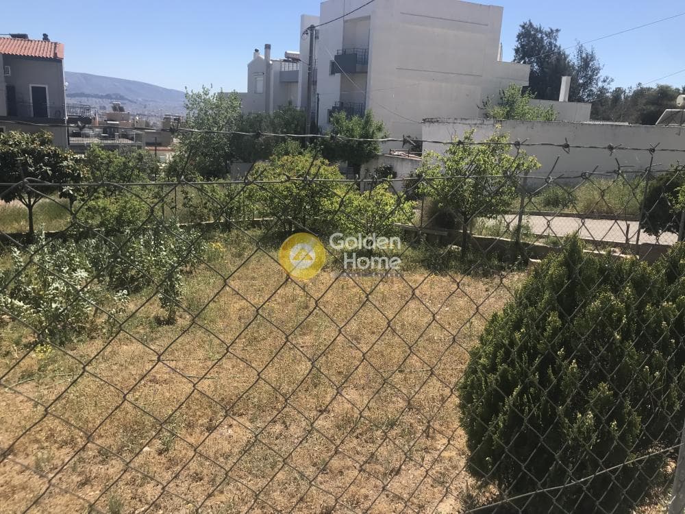 Οικόπεδο στην Καματερό, Καματερό — Φωτογραφία 3 από 5