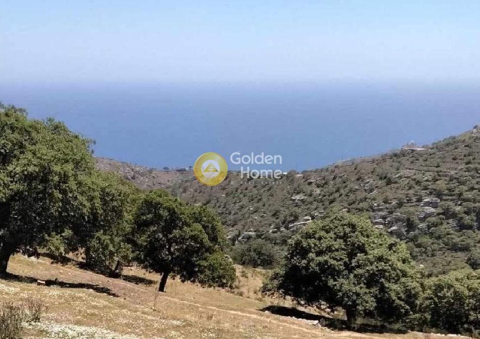 Parcel in Pera Meria, Kea — Photo 1 of 12