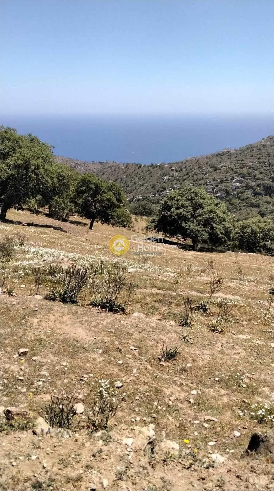 Parcel in Pera Meria, Kea — Photo 6 of 12