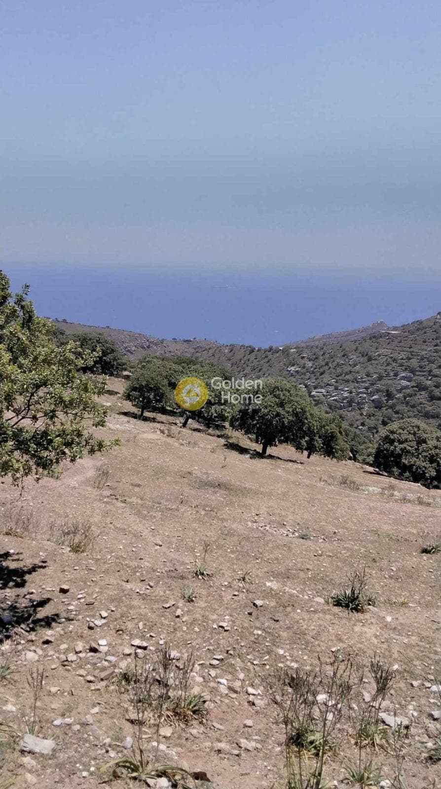 Parcel in Pera Meria, Kea — Photo 7 of 12
