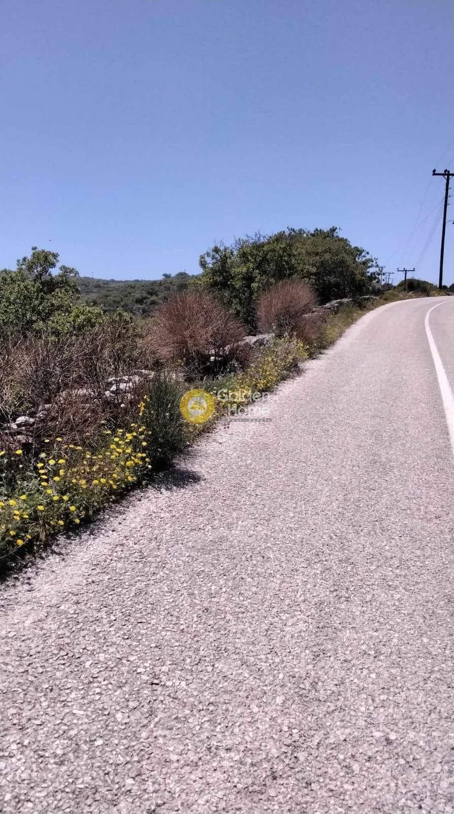 Parcel in Pera Meria, Kea — Photo 8 of 12