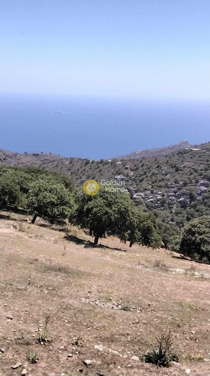 Parcel in Pera Meria, Kea — Photo 11 of 12