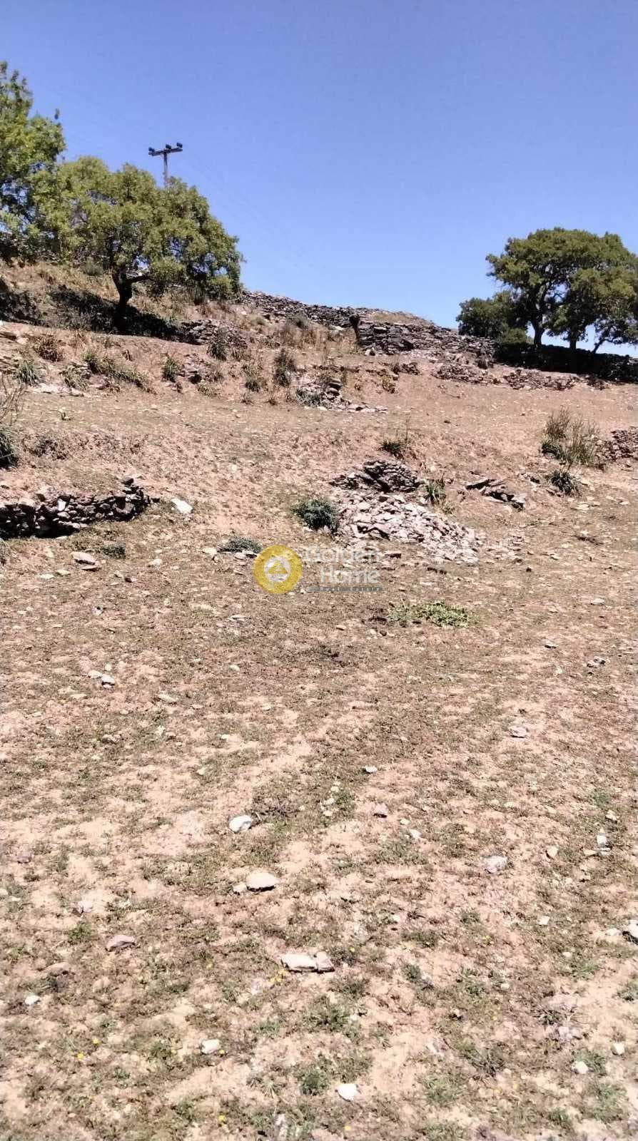 Parcel in Pera Meria, Kea — Photo 12 of 12