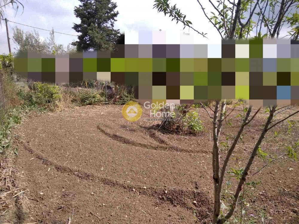 Οικόπεδο στην Πεζά, Αρχάνες — Φωτογραφία 1 από 2
