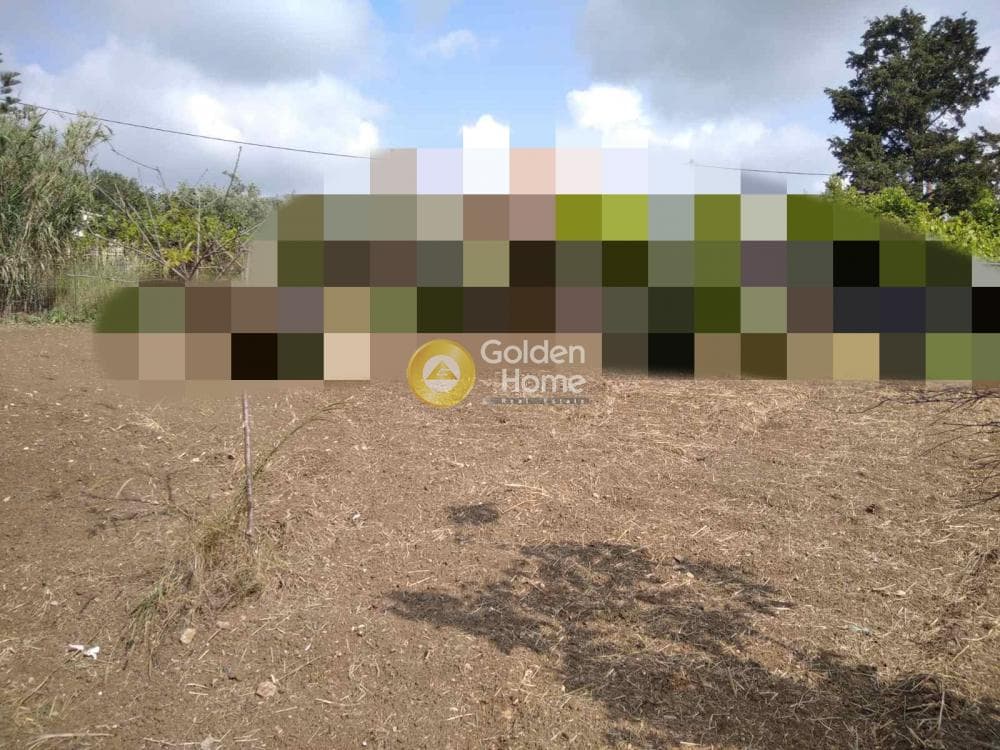Οικόπεδο στην Πεζά, Αρχάνες — Φωτογραφία 2 από 2