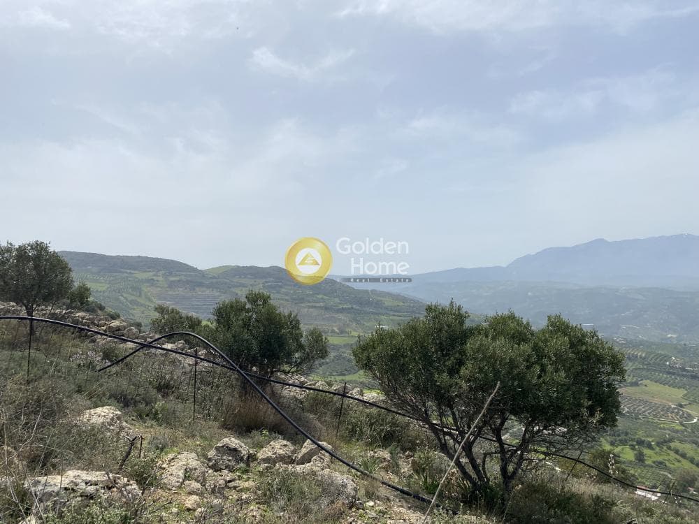 Οικόπεδο στην Άγιος Βλάσιος, Αρχάνες — Φωτογραφία 2 από 2