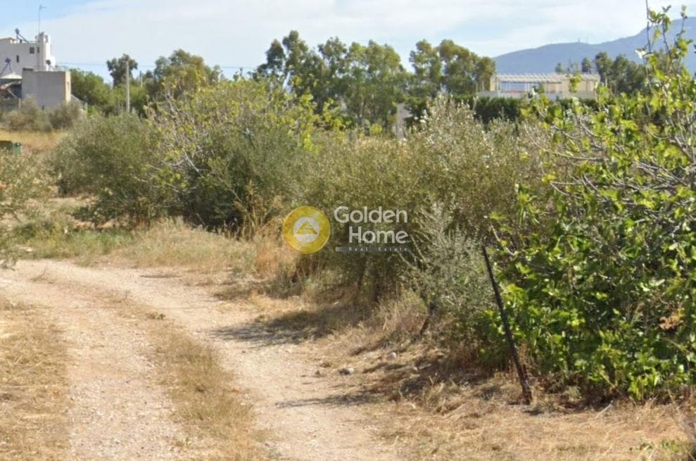 Οικόπεδο στην Μεγάλα Σχοινία Α, Αχαρνές